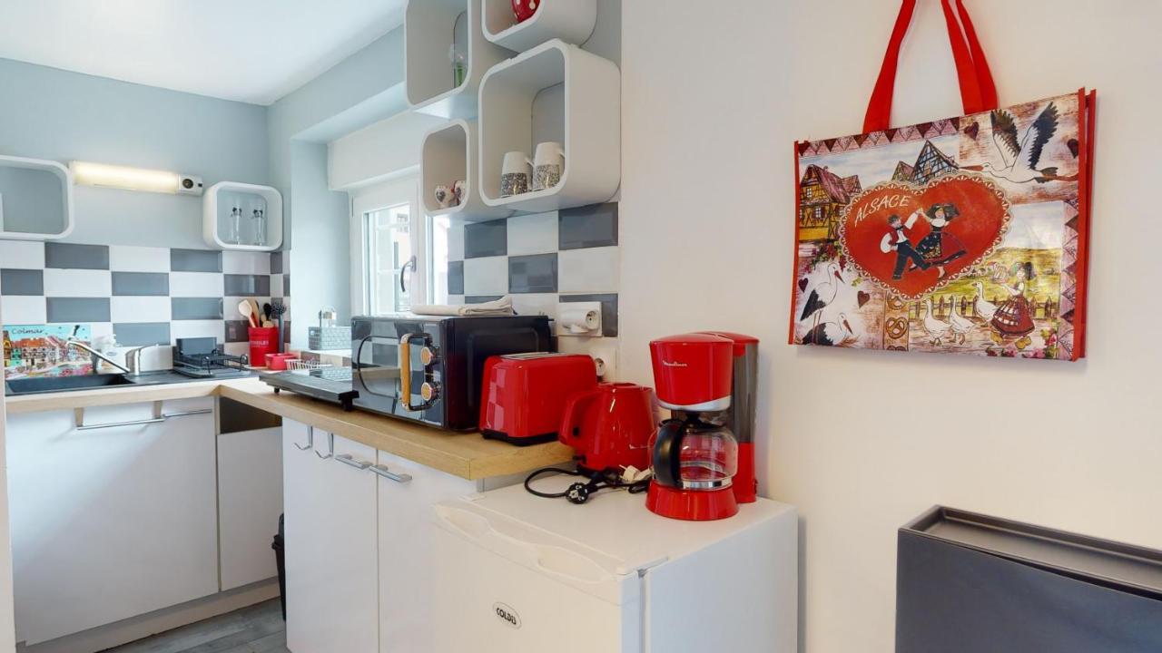 Studio Avec Parking Rue De La Semm Colmar Ngoại thất bức ảnh
