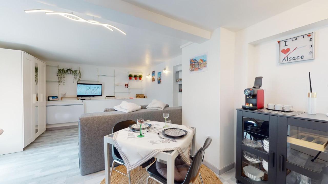 Studio Avec Parking Rue De La Semm Colmar Ngoại thất bức ảnh